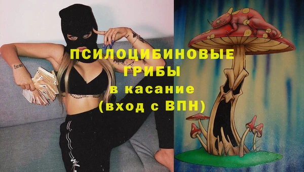 ПСИЛОЦИБИНОВЫЕ ГРИБЫ Баксан